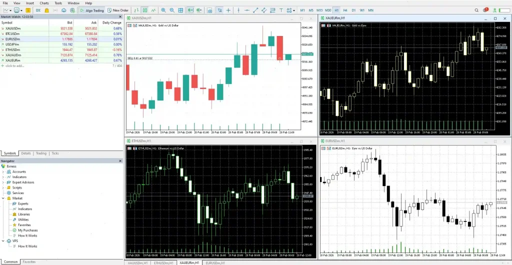 mt-multi-interface-exness-en